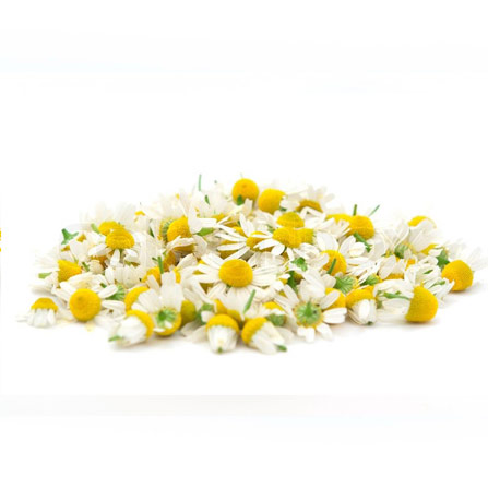 Chamomile