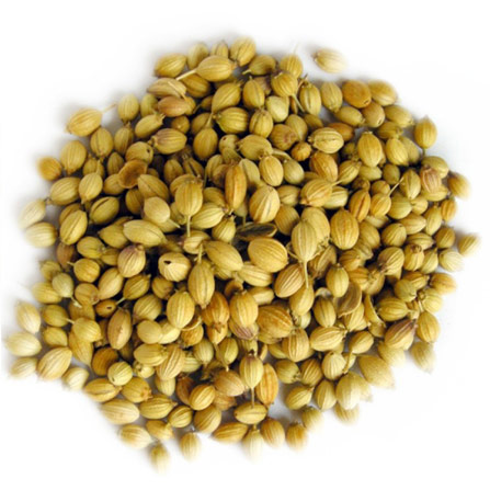 Coriander Seeds